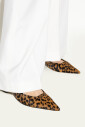 talons-hauts
