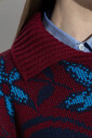 pull-a-motif-avec-un-col