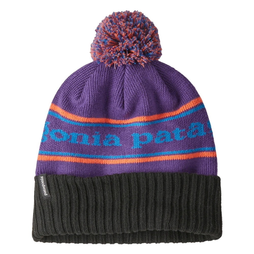 Patagonia Paarse Park Stripe Beanie Multicolor Heren