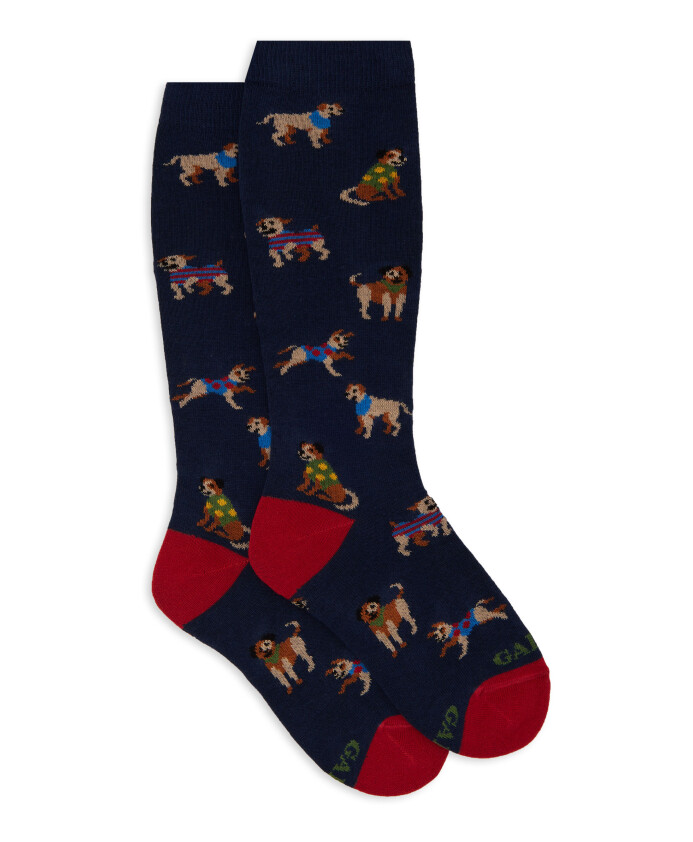 socks-andamp-tights