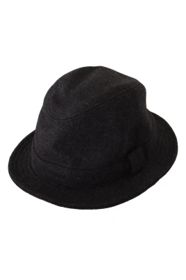 Trilbyhatt