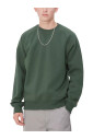 sweat-chase-sycamore-tree