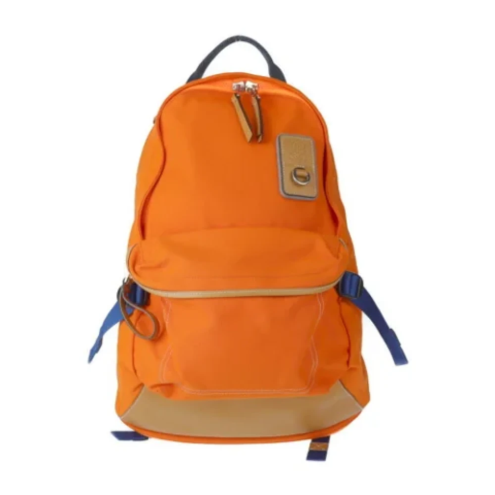 Pre-owned > Pre-owned Bags > Pre-owned Backpacks - - Loewe Pre-owned - Modalova