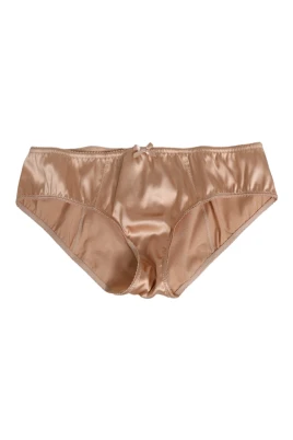 Silk Satin Floral Lace Panty Brief