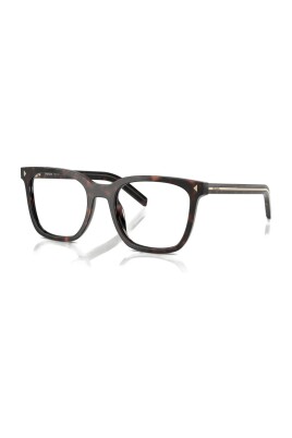pr-b11v-17n1o1-optical-frame