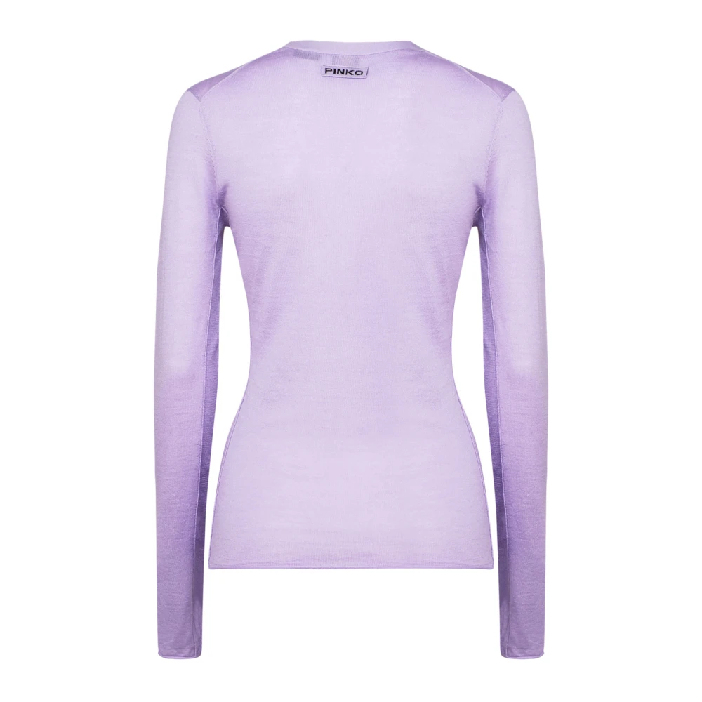 pinko Lila Wol Zijde V-Hals Trui Purple Dames