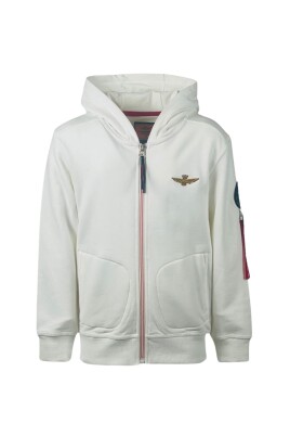 embroidered-hooded-sweatshirt