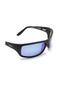mj0202s-004-sunglasses