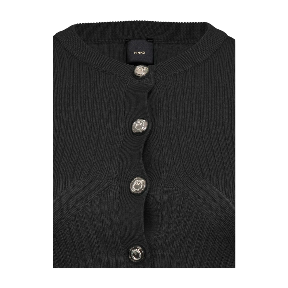 pinko Stijlvolle Gebreide Top Black Dames
