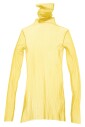 cygne-en-tulle-haut-jaune