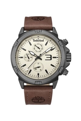 quartz-analog-watch