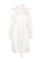 shirt-dresses