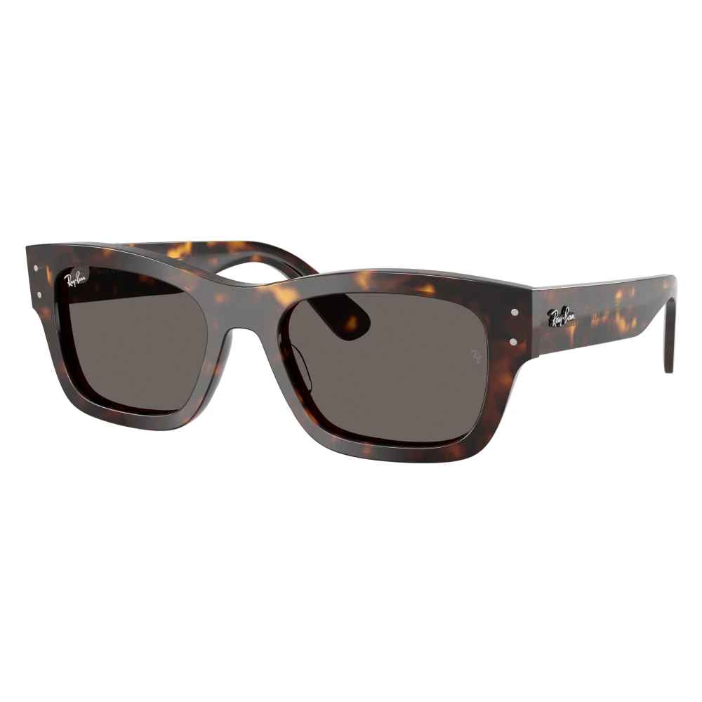 Ray-Ban Unisex Brown Sunglasses, 55 Mm, Joseph Sunglasses