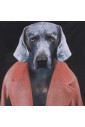 white-dog-print-t-shirt