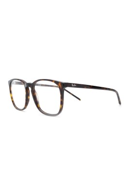 rb5387-2012-optical-frame