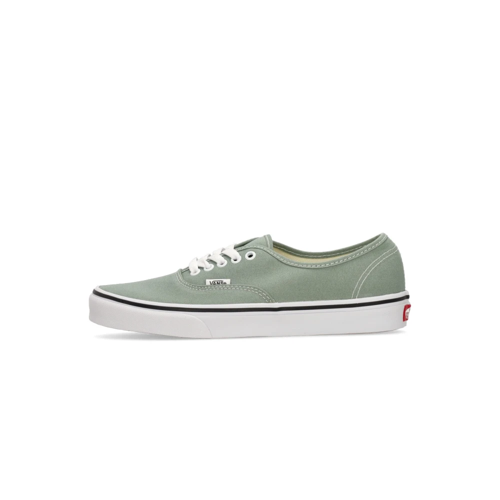 Vans Isberg Grön Färgteori Låga Skor Green, Herr