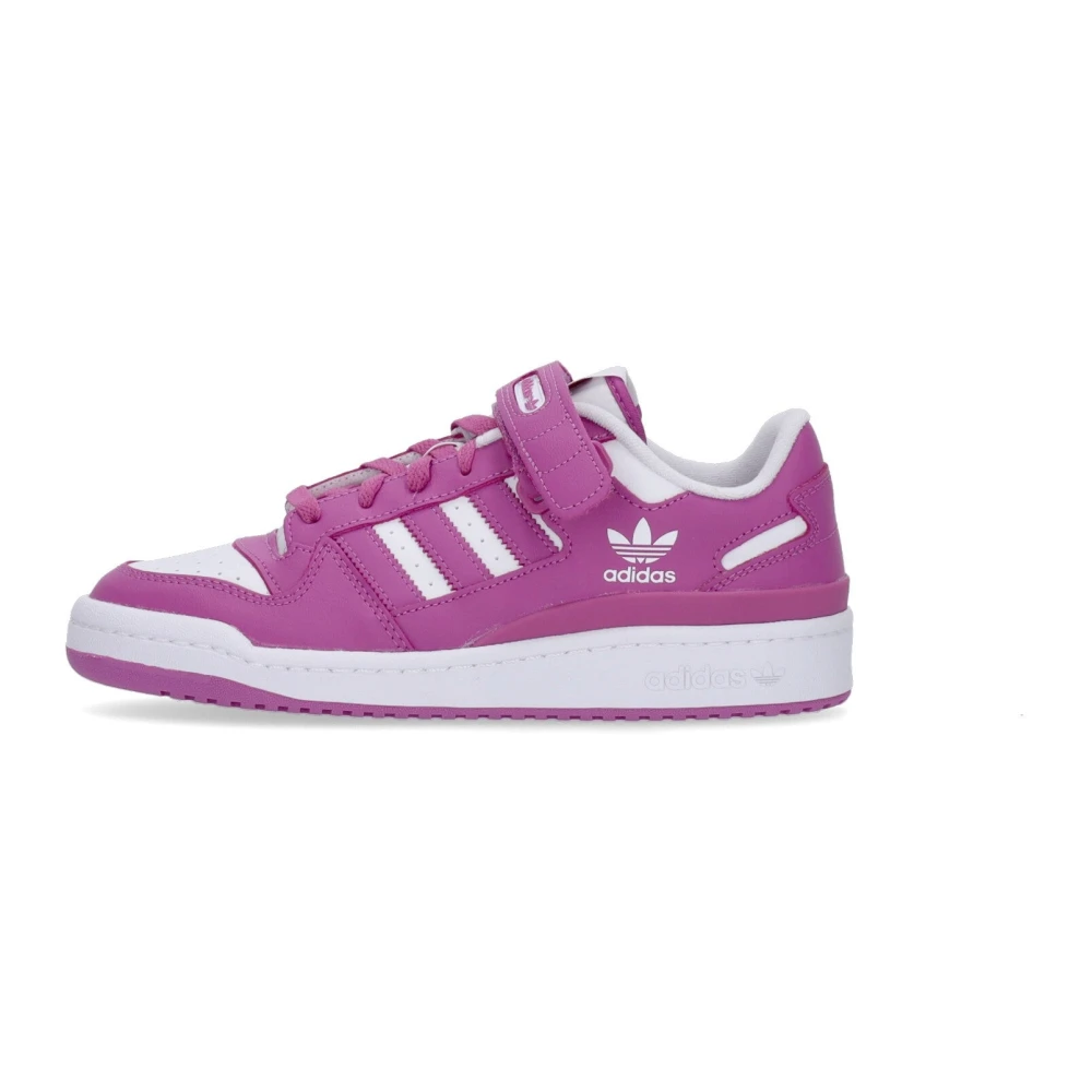 Adidas Men's Purple Low Top Basketball Shoe - Trainers - 10 Uk - Sport