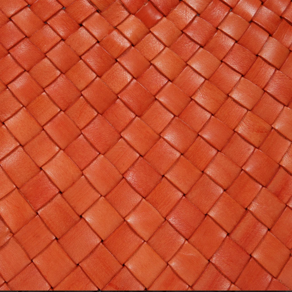 Dragon Diffusion Stijlvolle Leren Tas Orange Dames