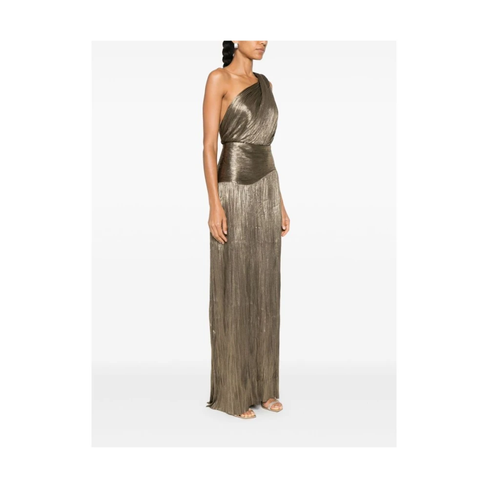 Maria Lucia Hohan Goudkleurige Zijden One-Shoulder Jurk Yellow Dames