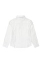classic-collar-white-shirt