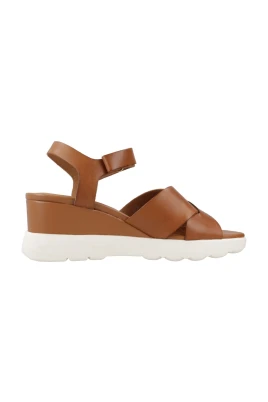 Spherica Wedges