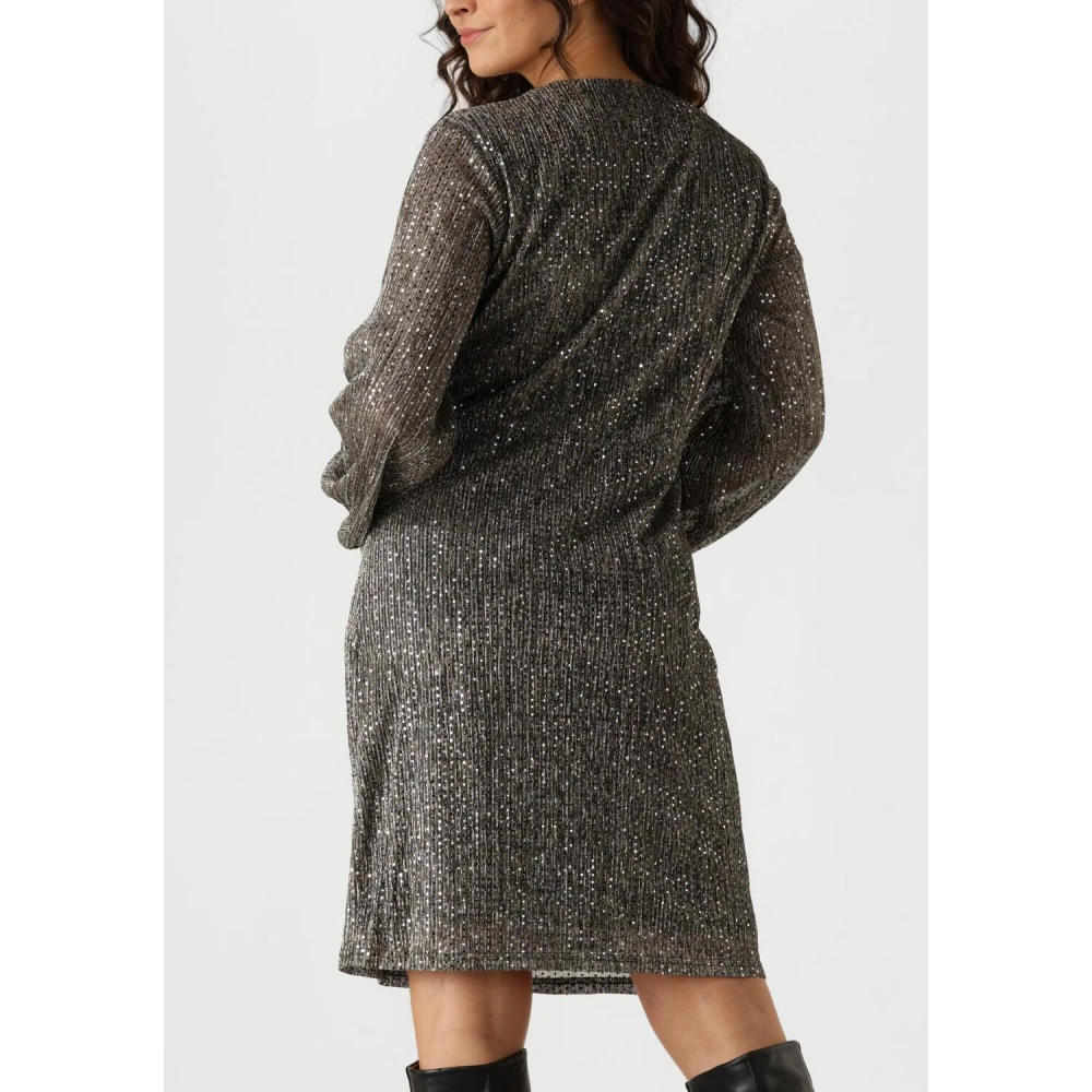 Aaiko Gwen Mesh Mini Jurk Glamour Gray Dames