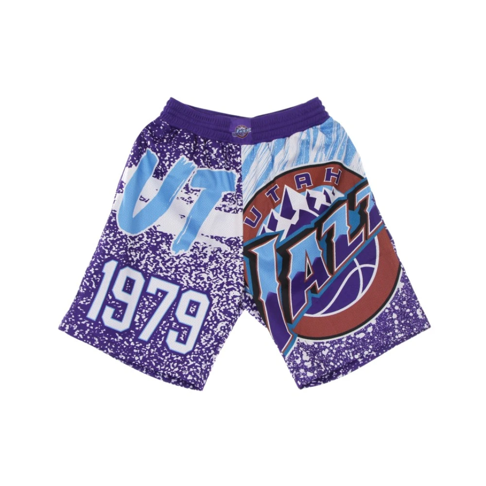 Mitchell & Ness basket shorts Purple, Herr