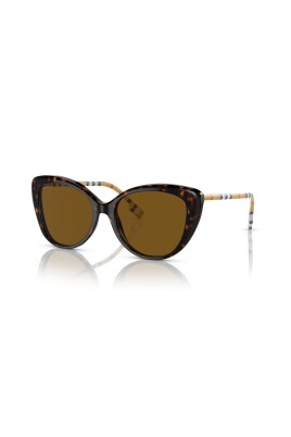 lunettes-de-soleil-havana-fonce-marron