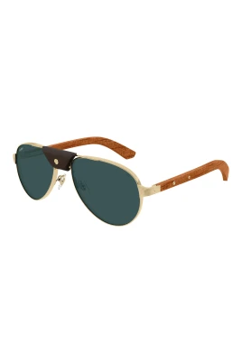 CT0495S 002 Sunglasses