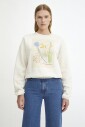 pull-en-coton-illustre