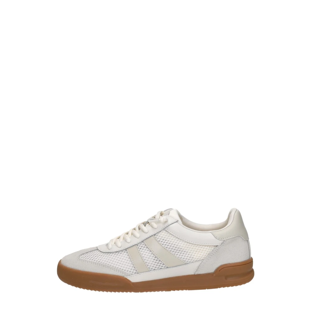 Steve Madden Verdict Sneaker Dames Schoenen Veelkleurig Multicolor