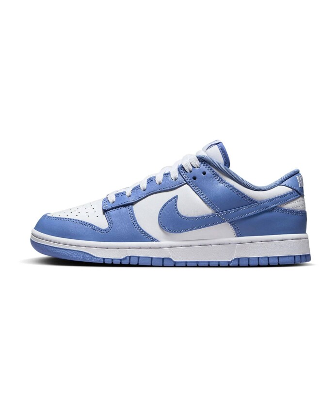 polar-blue-dunk-low-sneaker
