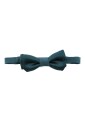 papillon-uni-en-satin