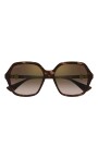 havana-zonnebril-ct0470s-002