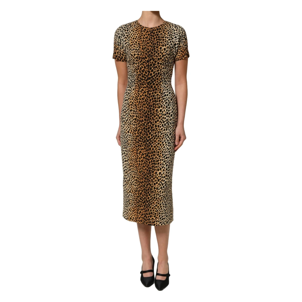 Dolce & Gabbana Brown Midi Dresses, Female, Xs, Sheath Midi Dress