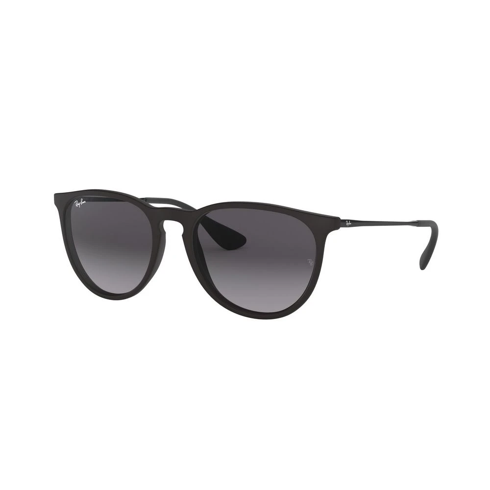 Accessories > Sunglasses - - Ray-Ban - Modalova