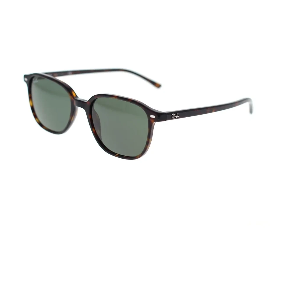 Ray-Ban Unisex Brown Iconic Sunglasses Leonard Rb2193