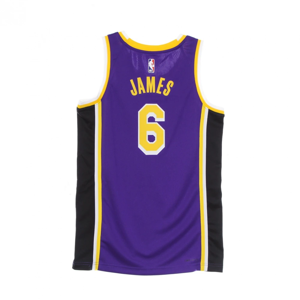 Jordan LeBron James NBA Swingman Jersey Purple Heren