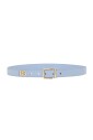 logo-plaque-belt-gold-tone-hardware
