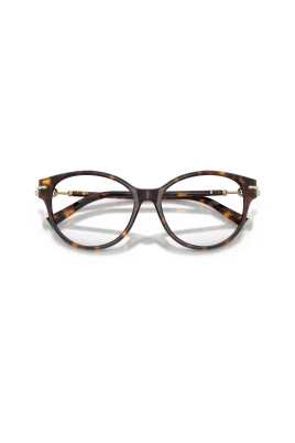TF2289 Optical Frame
