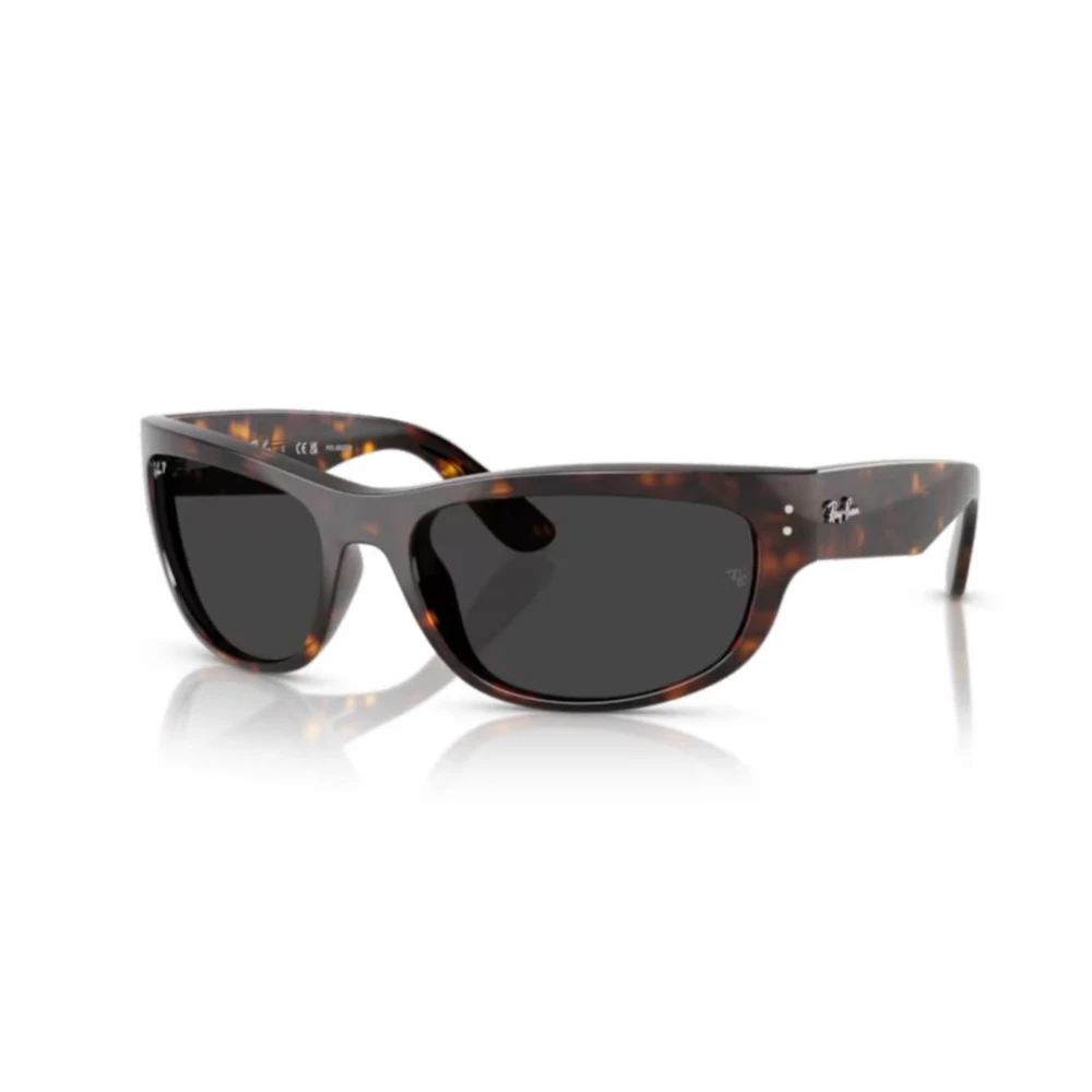 Ray-Ban Unisex Brun Klassiska Solglasögon För En Stilren Look