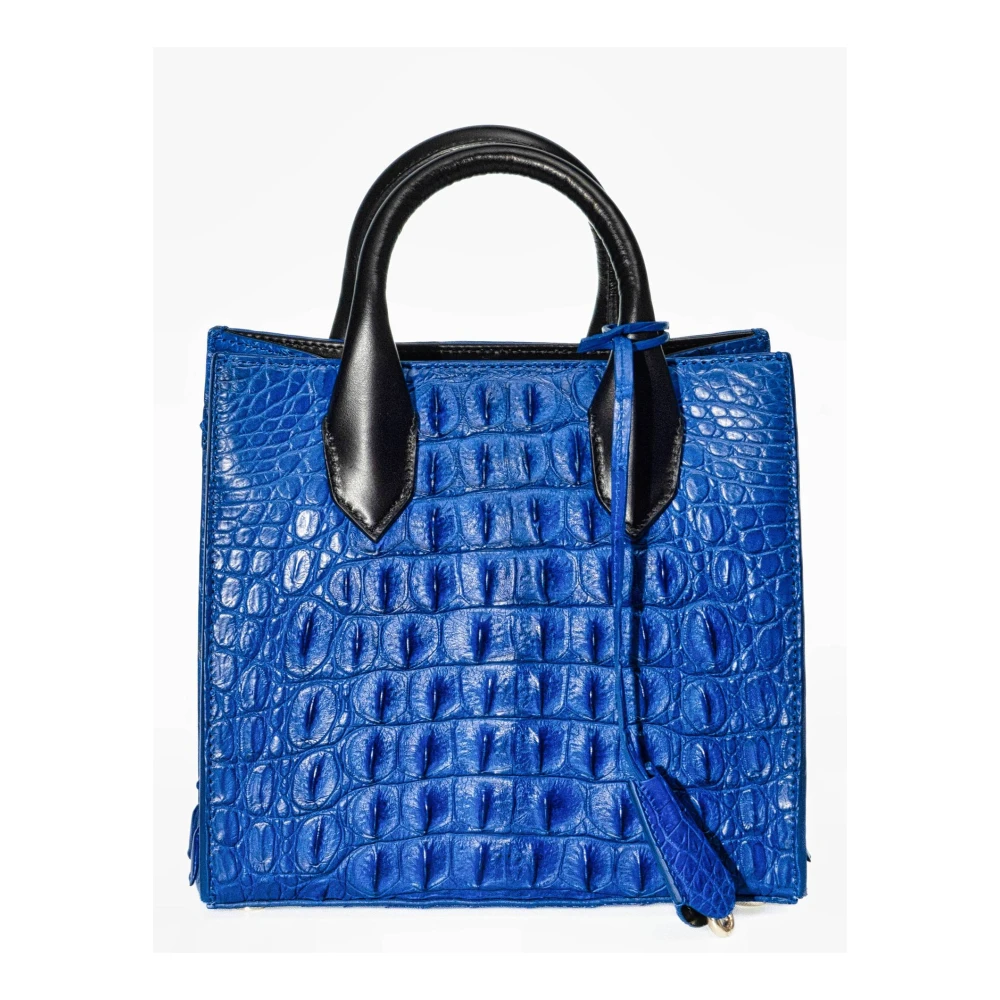 Balenciaga Stijlvolle Lady Tas voor Moderne Vrouwen Blue Dames
