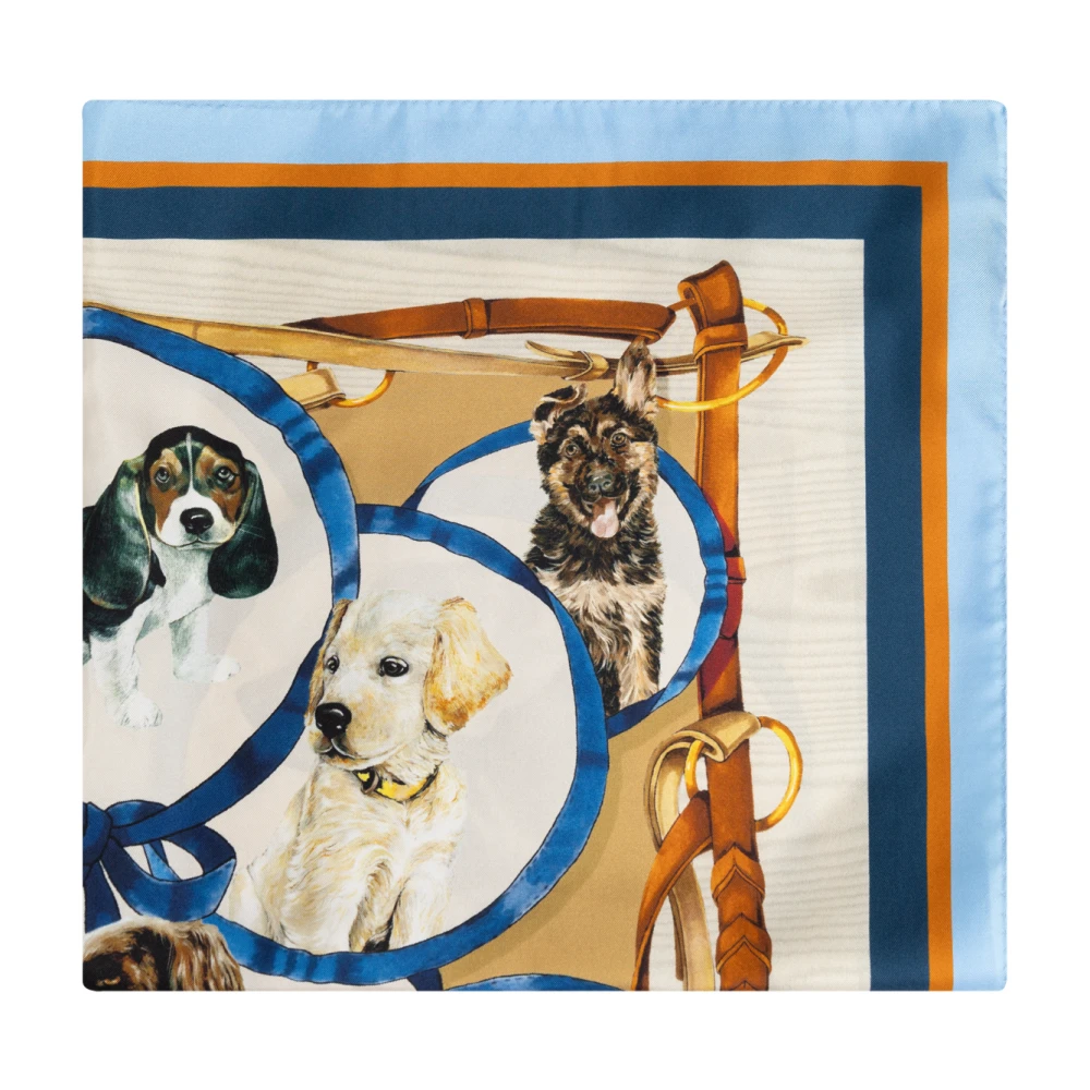 Dolce & Gabbana Zijden sjaal Multicolor Heren