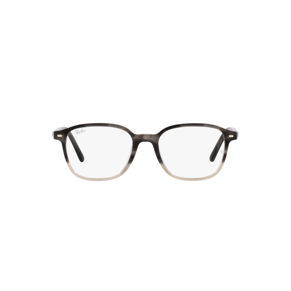 Ray ban 2024 leonard optics