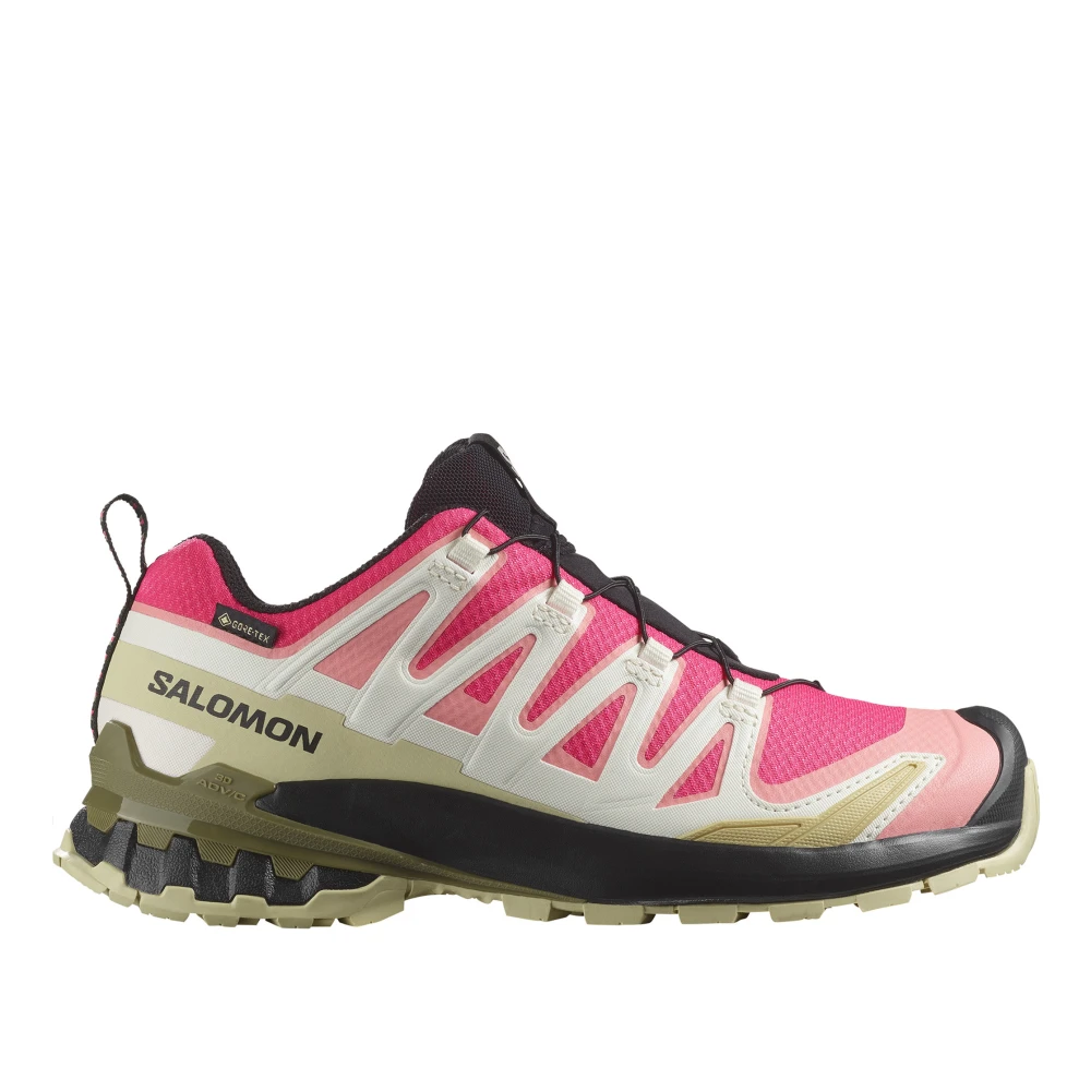 Salomon 3D V9 GTX Terränglöparskor Multicolor, Dam