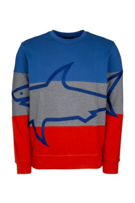 stylish-sweatshirt