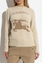 pull-avec-logo