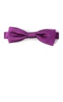 papillon-homme