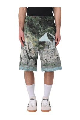 multifarvet-landskabsshorts