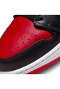 baskets-basses-alternate-bred-toe